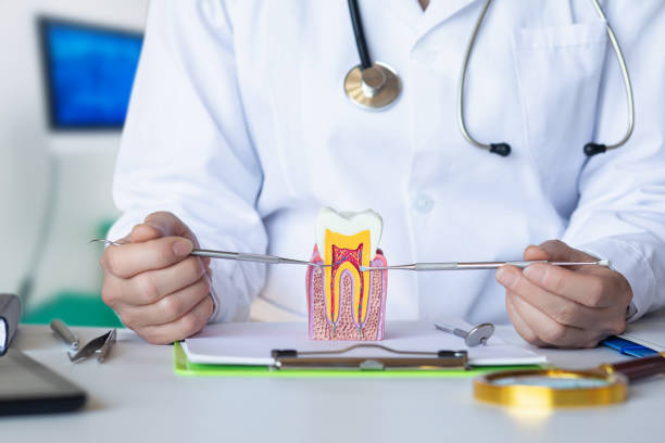 Best Pediatric Emergency Dentist in Centreville, AL